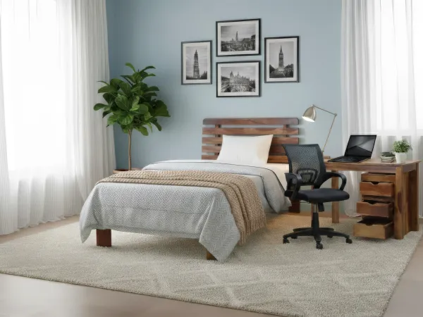 Alexa Studio Essentials Package